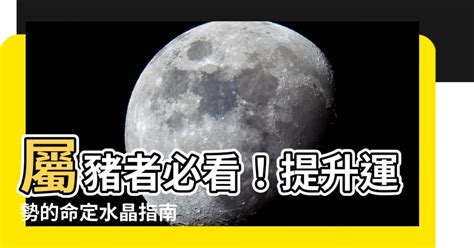 屬豬適合的樓層|【屬豬方位】屬豬者的風水方位、樓層、住宅吉利指南